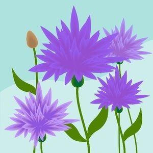 Meet your Posher, Bianca